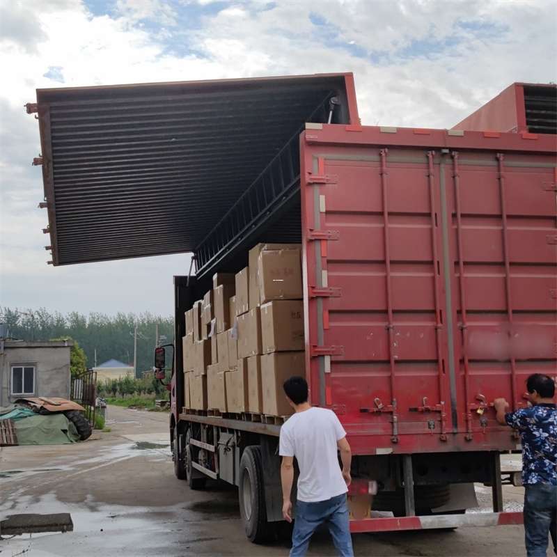 新兴区扎囊县：物流专线的高效货运之旅
